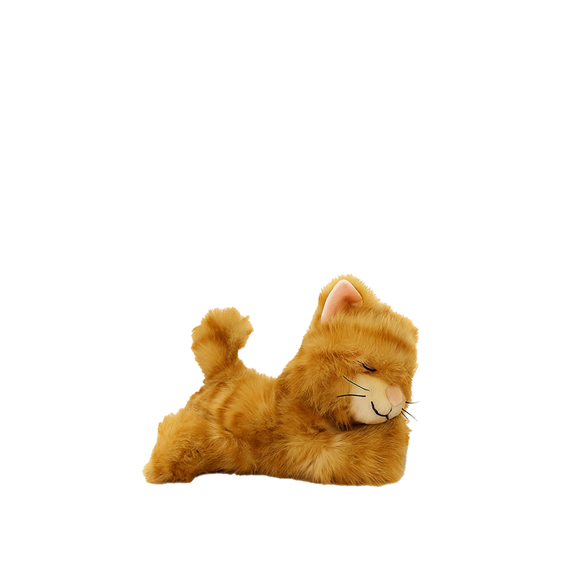 Binky Kitten Koda - Ginger