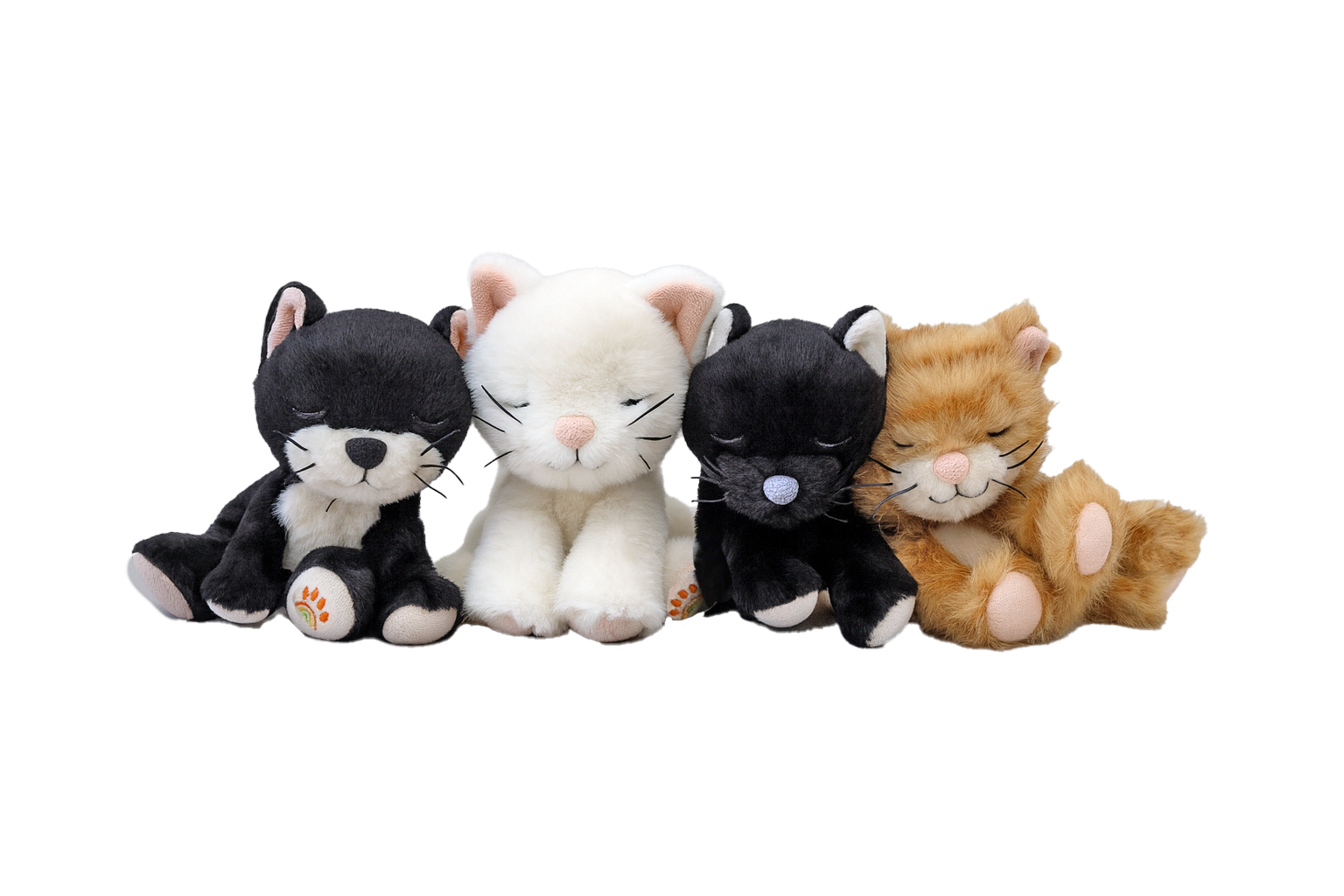 Binky Kitten Koda - Ginger