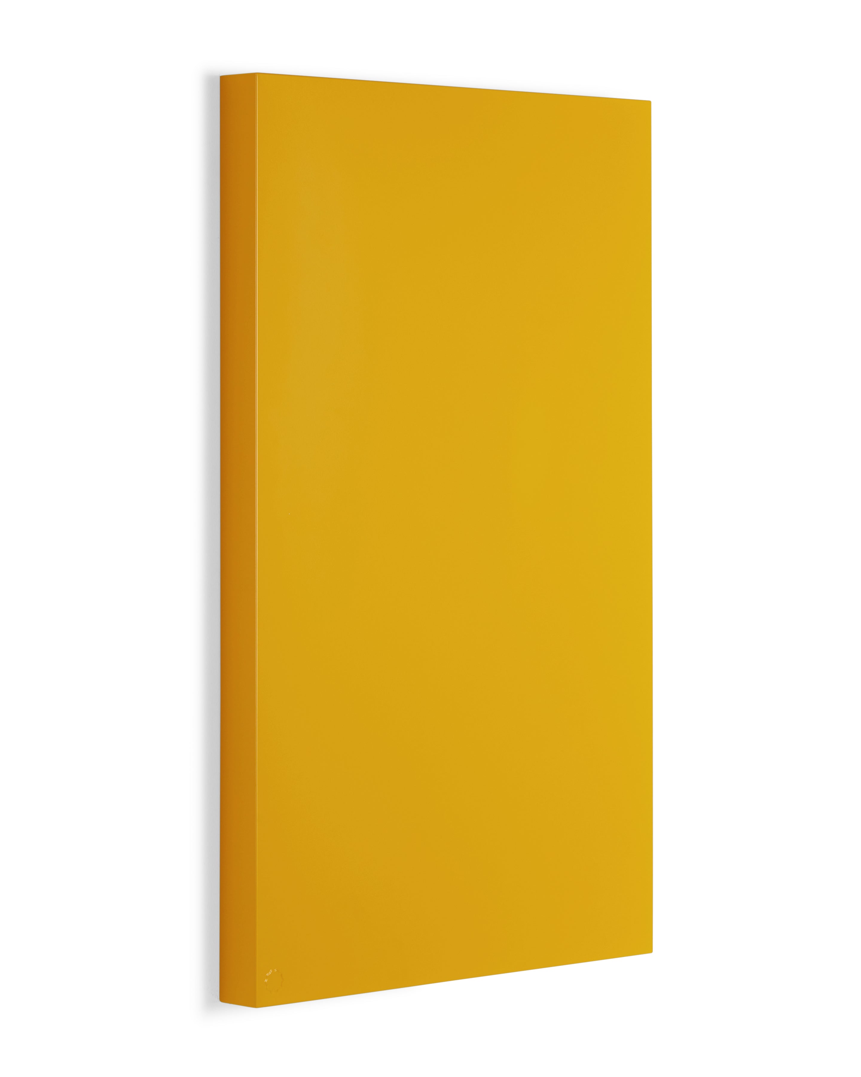 Mustard Made The Storyboard in Mustard