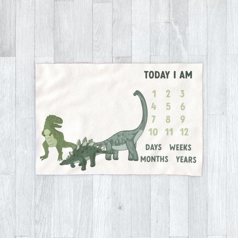 Dinosaur 2024 milestone blanket